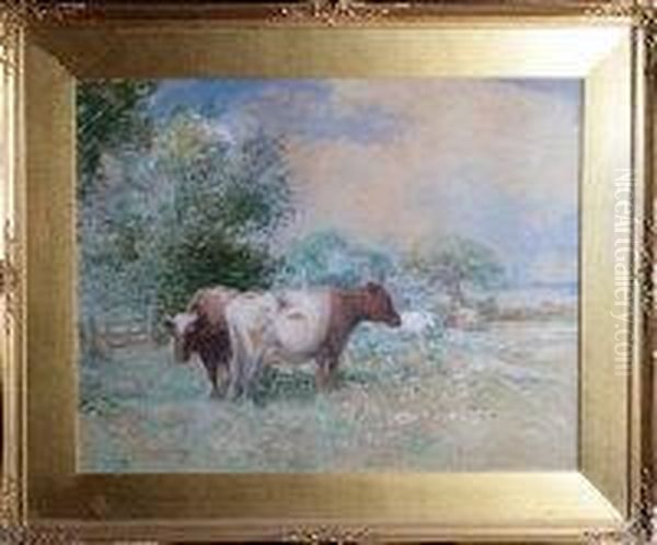 Cows In A Field Oil Painting by David Robertson