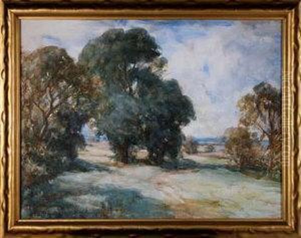 Sunlit Trees Oil Painting by David Robertson