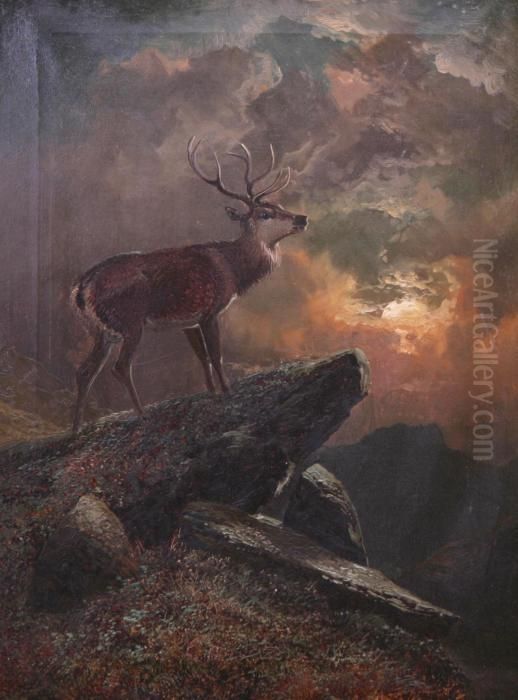 Hjort Pa Klippa Oil Painting by Clarence Roe