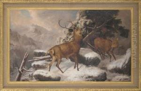Deer In A Winter Landscape Oil Painting by Robert Henry Roe