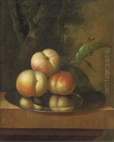 Peaches And A Bee On A Pewter Platter On A Marble Ledge, In A Wooded Landscape Oil Painting by Johan Christiaan Roedig
