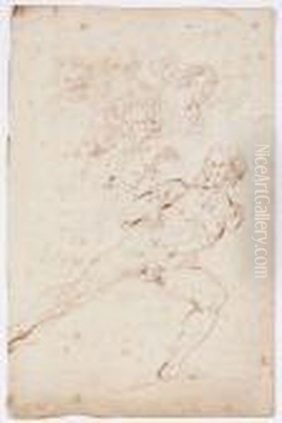 Academie D'homme Et Diverses Etudes De Bustes Oil Painting by Francois Roettiers