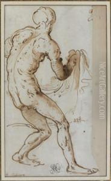 Figure D'homme Nu De Dos Tenant Untissu Oil Painting by Gerolamo Romanino