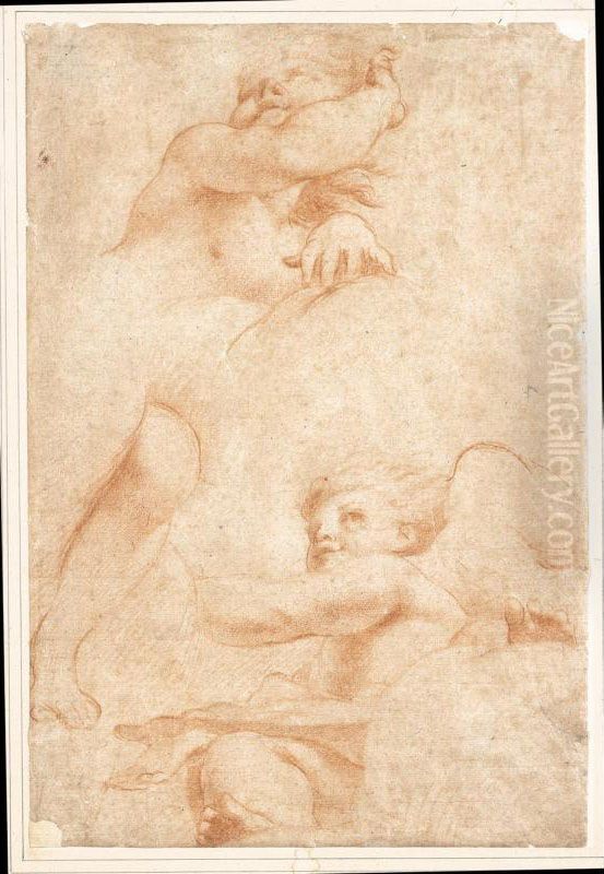 Studi Dal Correggio: Due Putti Oil Painting by Francesco Maria Rondani