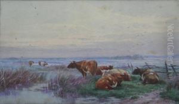 Cattle Resting At Twilight Oil Painting by Thomas, Tom Rowden