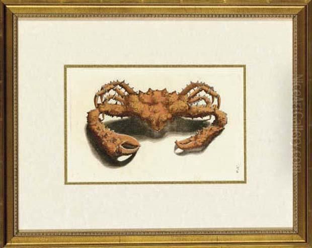 Crabs And Lobsters Oil Painting by Georg Eberhard Rumpf
