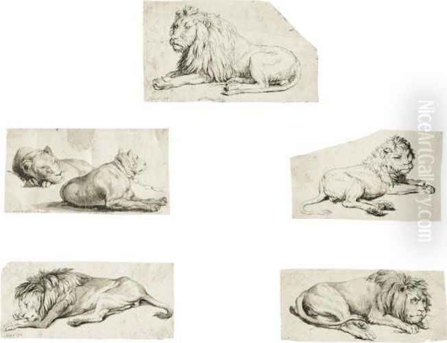 An Album Of Animal Drawings Oil Painting by Charles Reuben Ryley