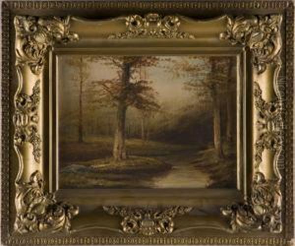 Forest Stream Oil Painting by J. Salvea