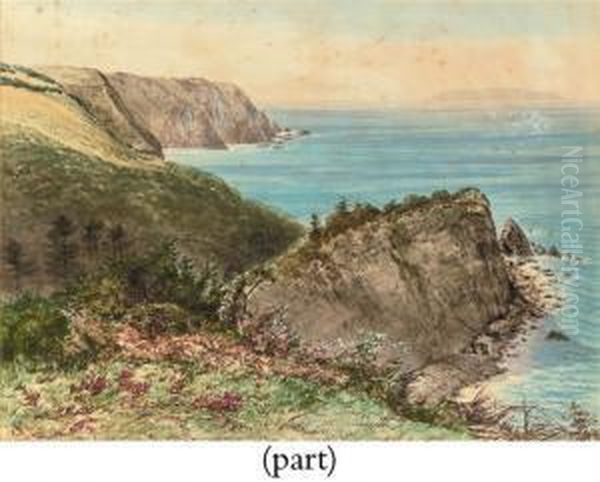On The Cliffs Oil Painting by Henry Sandercock