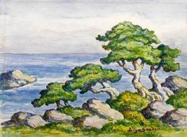 Cedars By The Sea, Carmel, California Oil Painting by Sven Birger Sandzen