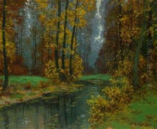 A Forest Brook Oil Painting by Karel Schadt
