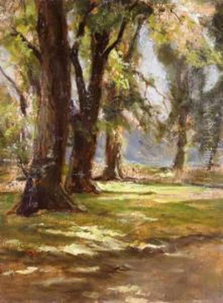 Tisztas Az Erdo Szelen Oil Painting by Albert Schickedanz