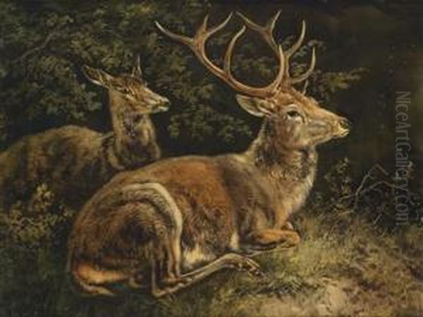 Red Deer Oil Painting by August Schleich