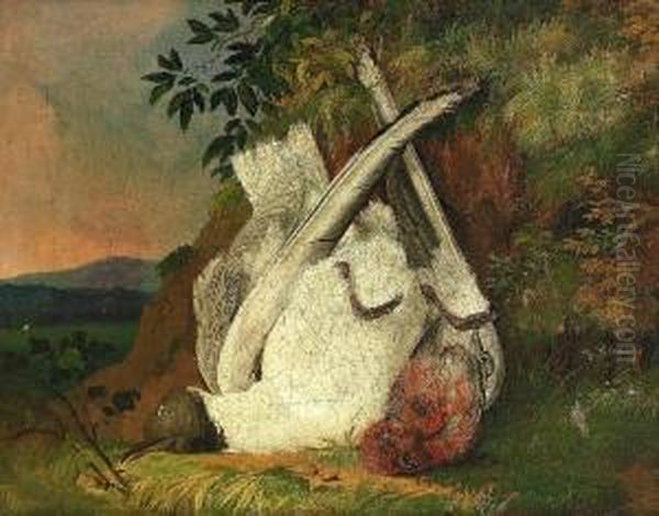 Nature Morte Mit Vogeln Vor Abendlicher Landschaft Oil Painting by August Schleich