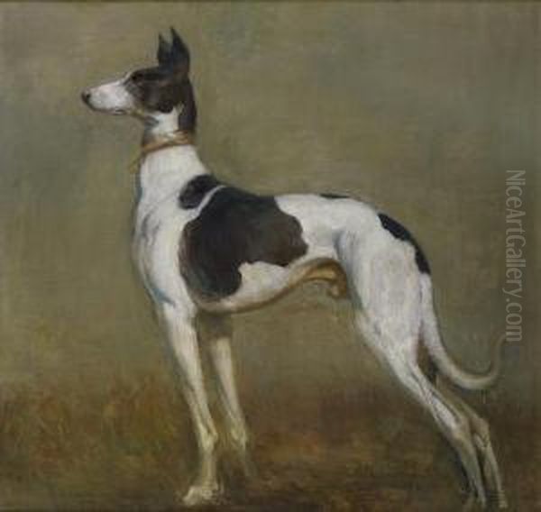 Portrait De Levrier Oil Painting by Alois Hans Schramm