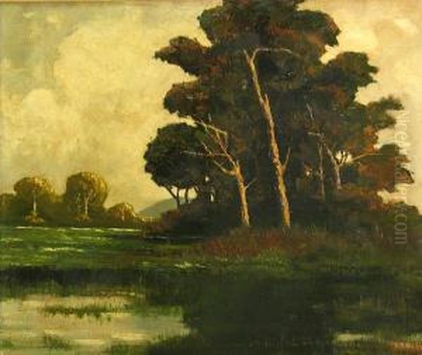 Tree By A Pond Oil Painting by Johann Schuld