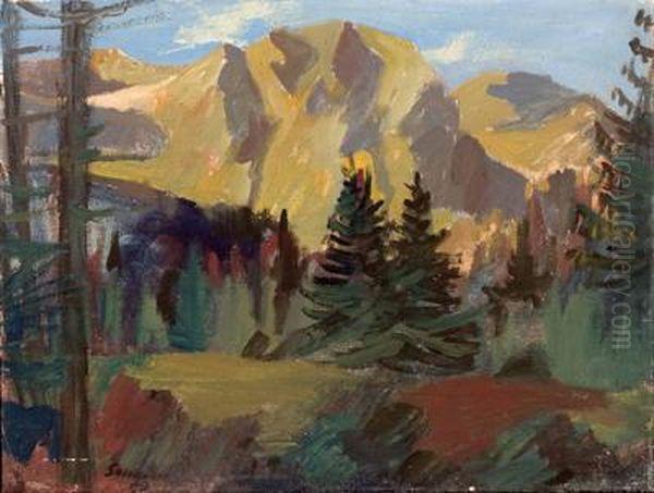 Gasteiner Tal - Watzinger Alm Oil Painting by Franz Senkinc