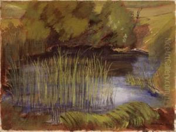 Feldweiher Oil Painting by Franz Senkinc