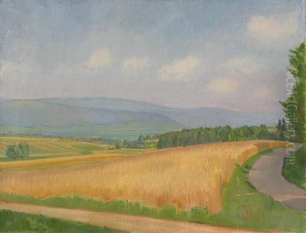 Seelander Landschaft Oil Painting by Traugott Senn