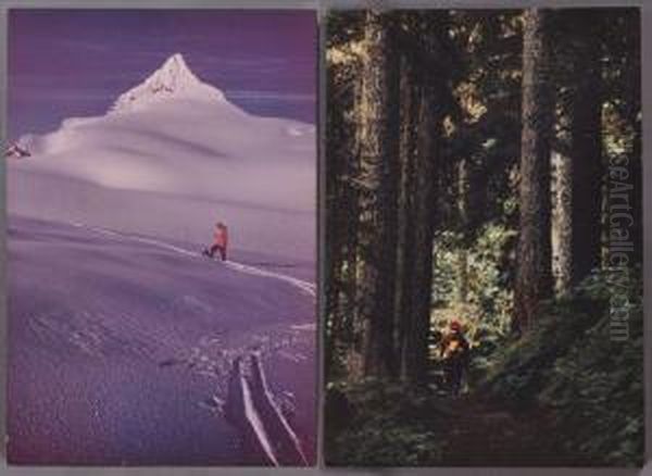 Kulshan Cabin Trail On Mt. Baker Washington Oil Painting by John A. Servas