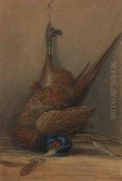 Pheasant In The Larder Oil Painting by George Shepherd