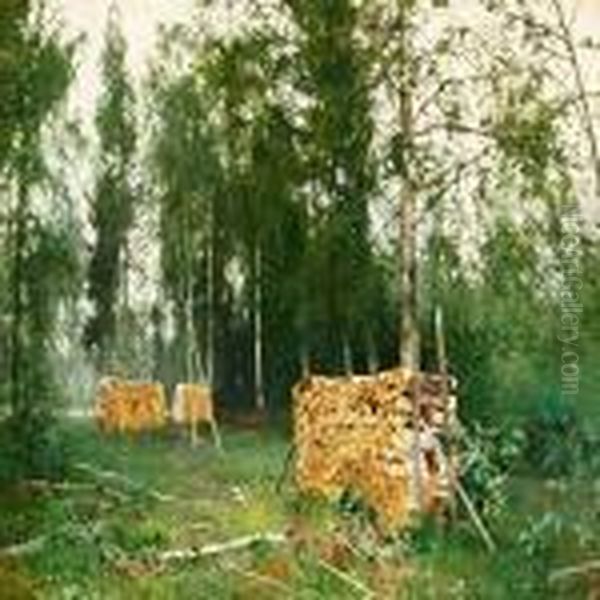 Spring Forest With Piled Birch Wood Oil Painting by Andrei Nikolaevich Shilder