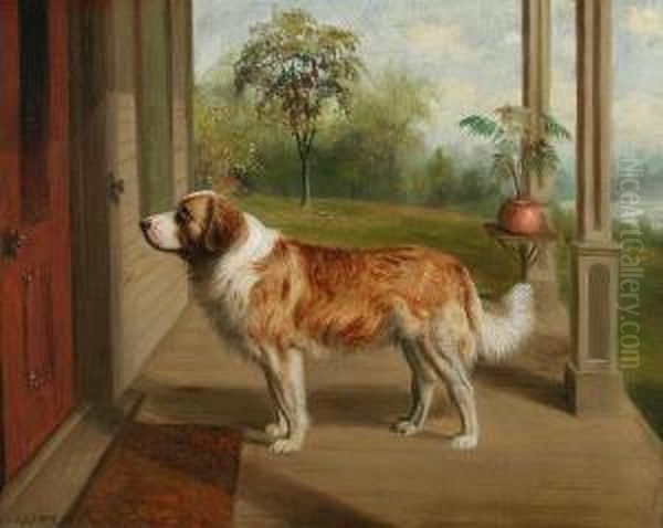 St. Bernard On A Front Porch Oil Painting by Sylvester Musgrave