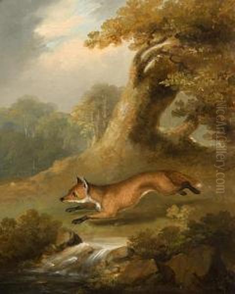 Fox In A Clearing Oil Painting by James Sillett