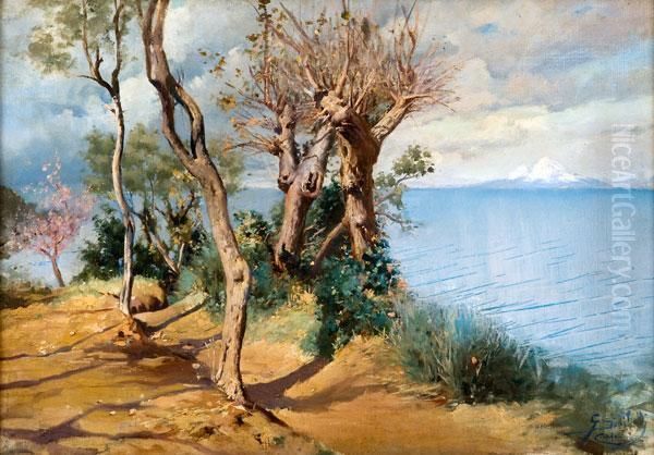 Il Vesuvio Innevato Visto Da Capri Oil Painting by G. Sinibaldi