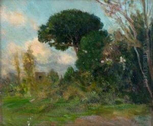 Paesaggio Oil Painting by Carlo Siviero