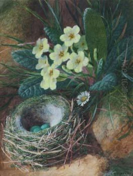 Still Life Studyof Primroses And A Bird's Nest Oil Painting by Charles Henry Slater